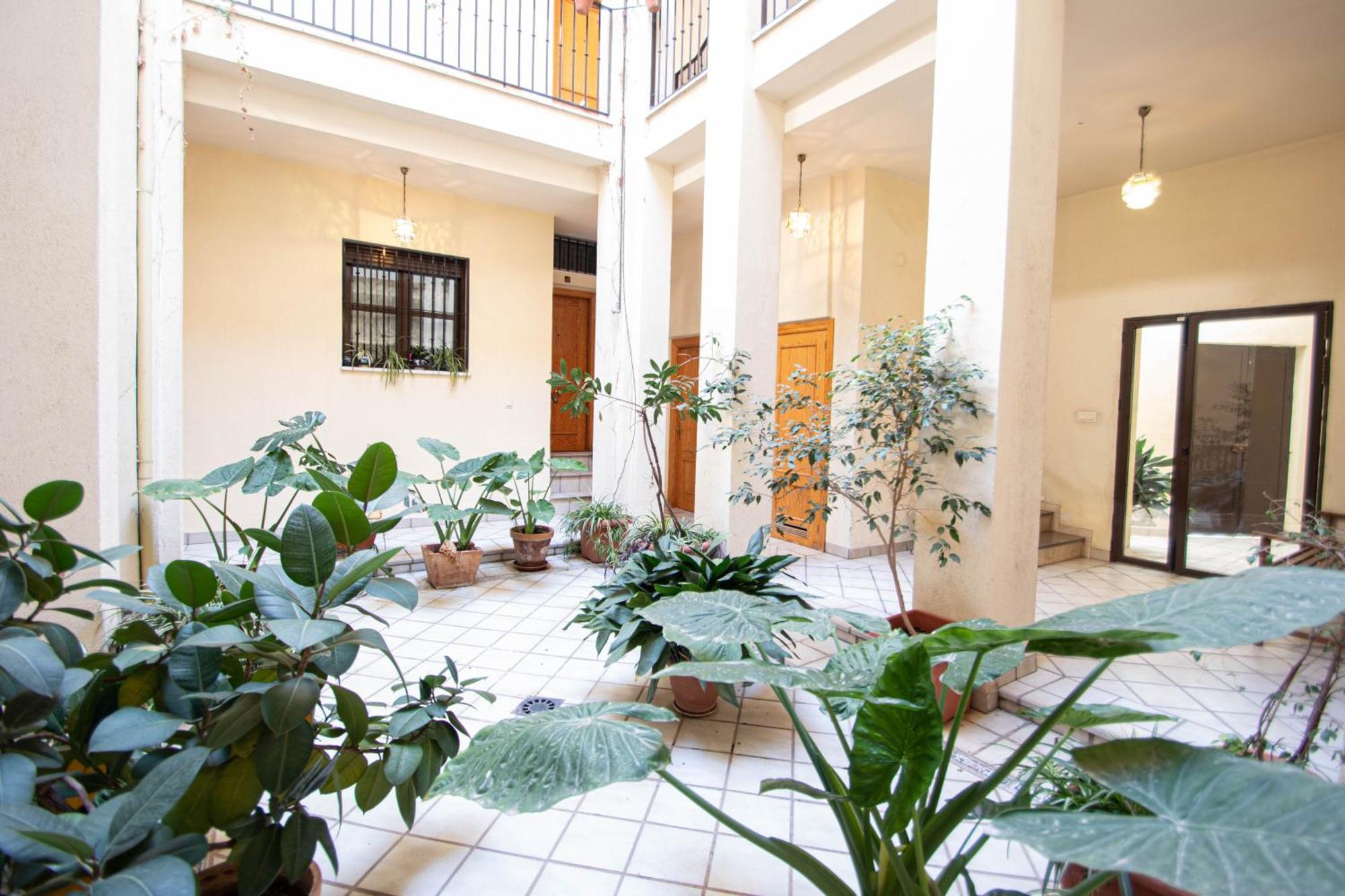 Elvira 54 Apartment Granada Dış mekan fotoğraf